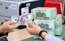 Tỷ giá USD hôm nay 29/10: USD chợ đen chững giá, người mua đô cần lưu ý những gì?