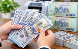 Tỷ giá USD hôm nay 31/10: Giá USD khối ngân hàng đồng loạt giảm xuống dưới 26.000 đồng/USD bán ra, có nên mua USD lúc này?