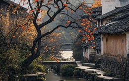 Tháng sinh Âm lịch của người có cuộc đời ít phải lo toan, hậu vận giàu sang