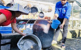 Sốt xuất huyết và tay chân miệng diễn biến phức tạp tại TPHCM