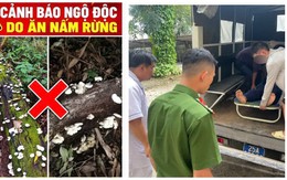 Ăn nấm dại hái trong rừng, 9 người ở Lai Châu nghi ngộ độc