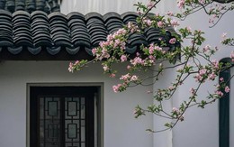 Ngày sinh Âm lịch của người có tư duy táo bạo: Không ngại đi ngược số đông