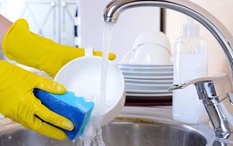Nên dùng miếng rửa bát trong bao lâu thì thay?