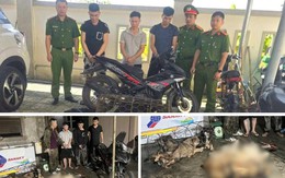 Khởi tố nhóm đối tượng trộm chó trong đêm