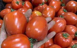 Chế độ dinh dưỡng phù hợp khi điều trị ung thư tuyến tiền liệt