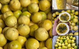 Chanh leo Hoàng Kim có gì đặc biệt mà được nhiều người tiêu dùng săn lùng tìm mua?