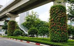 Hà Nội thí điểm phủ xanh 4 vị trí hạ tầng giao thông trọng điểm