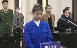 Vụ vợ đoạt mạng chồng giữa đêm ở Phú Thọ: Người vợ lĩnh án 19 năm tù