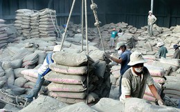 Từ 15/2, người lao động mắc một trong những bệnh này sẽ được bảo hiểm xã hội chi trả