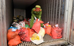 Khởi tố chủ cơ sở ở Bắc Ninh dùng chất cấm chế biến riềng xay