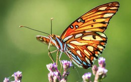 Sống tốt chưa chắc bằng sinh đúng ngày: 4 ngày Âm lịch đại cát, phúc lộc kéo dài nhiều thế hệ