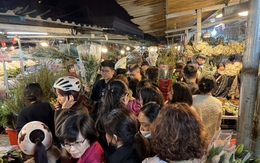 Chợ hoa Tết 2026 đông nghẹt khách, giá ly kép tăng 'chóng mặt', chạm mốc 1,5 triệu đồng/bó