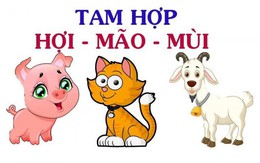 Việc cần làm của 3 con giáp gặp Tam Tai 2026 Hợi – Mão – Mùi ngay ngày đầu năm mới để hóa giải, đón may mắn