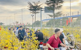 Người dân tất bật mua sắm hàng hóa, cây hoa cảnh ngày 29 Tết