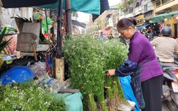 Giữ hương Tết xưa bằng nồi nước mùi già đầu năm, giá chỉ từ 20.000 đồng/bó