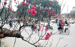 Điểm danh những nơi có mưa trong ngày hôm nay do ảnh hưởng của không khí lạnh