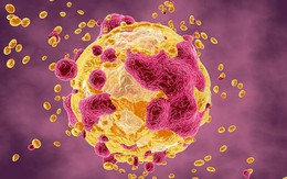 Loại cá 'nuôi lớn' tế bào ung thư, ngon đến mấy người Việt cũng không nên ăn nhiều 