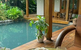 Sau Tết ăn gì để 'rửa' vị dầu mỡ mà vẫn giữ được sinh khí đầu năm?