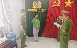 Mua khống hơn 500 hóa đơn để trục lợi, một nữ giám đốc bị khởi tố