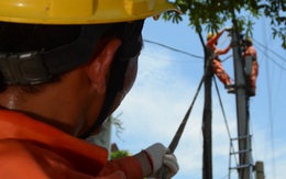 Lịch cúp điện Lâm Đồng (Bình Thuận cũ) từ ngày 25/2 – 1/3/2026: Những khu dân cư nào nằm trong danh sách mất điện?