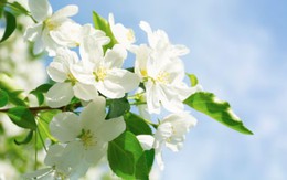 Số cuối ngày sinh Âm lịch tiết lộ người sâu sắc, đã cam kết là không rời bỏ