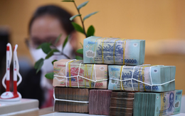 Nhận thông báo công ty không thưởng Tết, tôi lập tức nghỉ việc