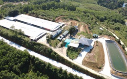 Phú Thọ: Trang trại chăn nuôi gia công cho Công ty C.P. bị phát hiện nhiều vi phạm