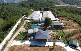 Sau phản ánh của Gia đình và Xã hội, Phú Thọ yêu cầu xác minh các trang trại chăn nuôi tại Cao Dương