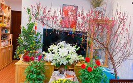 Bật mí kiểu trang trí nhà cửa đón Tết 2026 rực rỡ