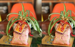 Cách thu hút tài lộc đầu năm 2026: Bí quyết may mắn và thịnh vượng nên thực hiện