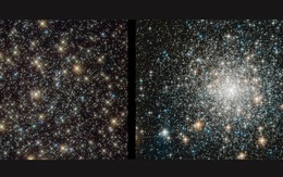 Phát hiện rùng mình về “sinh vật bất tử” của vũ trụ