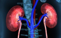 8 dấu hiệu bệnh suy thận, người Việt cần biết để phòng bệnh từ sớm