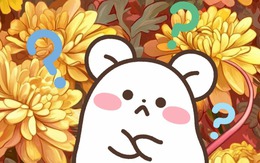 Hạn Thái Tuế năm 2026: Vận mệnh con giáp nào xoay chuyển mạnh nhất?