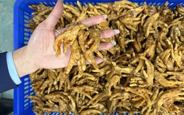 Phát hoảng hơn 6 tấn chân gà không rõ nguồn gốc trong kho hàng