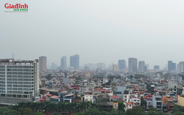 Nhà riêng tại 2 phường Tây Hồ và Phú Thượng (Hà Nội) được cho thuê với giá cao dịp cận Tết Nguyên đán 2026