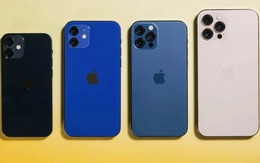 Giá iPhone 12, iPhone 12 Pro Max mới nhất giảm sâu, hạ sập sàn, rẻ dưới 10 triệu đồng xịn chẳng kém iPhone 17