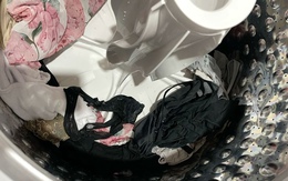 5 kiểu giặt đồ lót khiến vi khuẩn sinh sôi, nhiều chị em phạm phải, đặc biệt kiểu số 2