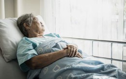 Giáo sư rời giảng đường để chăm mẹ mất trí nhớ: Khi chữ hiếu lớn hơn mọi danh vọng