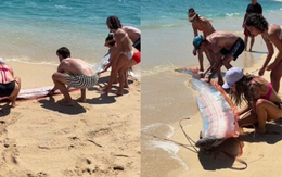 Đang dạo biển, người dân phát hiện cảnh tượng "bí ẩn" ập đến bất ngờ