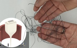 "Sợi tóc" của Nhật Bản đang gây kinh ngạc giới khoa học: Họ làm được điều khó tin thế này đây