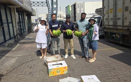 Chung tay đảm bảo an ninh năng lượng: Doanh nghiệp logistics, xuất khẩu tối ưu chi phí vận tải, xoay trục thương mại trước xung đột Trung Đông