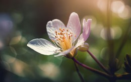 Giờ sinh Âm lịch của người dễ làm nên chuyện lớn khiến gia tộc nở mày nở mặt