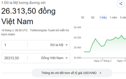Tỷ giá USD/ VNĐ hôm nay 18/3: Giá bán ra giảm nhẹ, về mức 26.320 đồng/USD