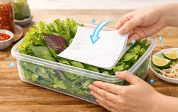 Mẹo bảo quản rau sống trong tủ lạnh tươi ngon suốt hai tuần