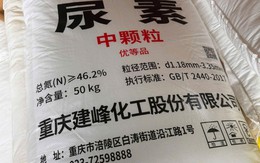 Tiểu thương công khai kinh doanh hàng ngàn kilogram phân bón nhập lậu