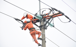 Lịch cúp điện TP. Cần Thơ tuần này (từ ngày 2 - 8/3/2026): Khu vực dân cư bị cúp điện tăng cao