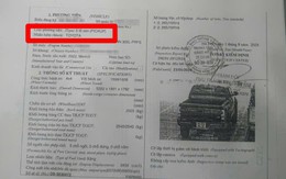 Phân biệt Ô tô con Pickup và Ô tô tải Pickup: Những điều chủ xe nhất định phải biết