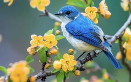 Giờ sinh Âm lịch của người 'không thể nghèo': Kiếm tiền giỏi, tiêu tiền càng khôn