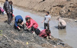 Công trường dừng thi công khẩn cấp vì máy xúc đào trúng vật cứng chứa hiện vật nặng hơn 100kg, con mương rộng 6m bị phong tỏa