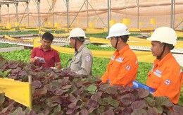 Lịch cúp điện Đồng Tháp (Tiền Giang cũ) tuần này (từ 23 - 29/3/2026): Những khu dân cư nào sẽ bị mất điện cả ngày?